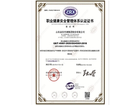 職（zhí）業健康安全管理體係認證證書