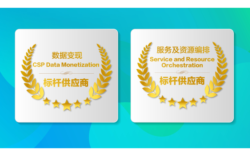 国产亚洲熟妇在线视频科技榮獲（huò）Gartner 2021數據變現和服務及資源編排“標（biāo）杆供應商”