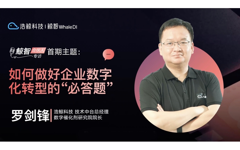 浩（hào）鯨科技羅劍鋒：如（rú）何做好企業（yè）數字化轉型的“必答題”