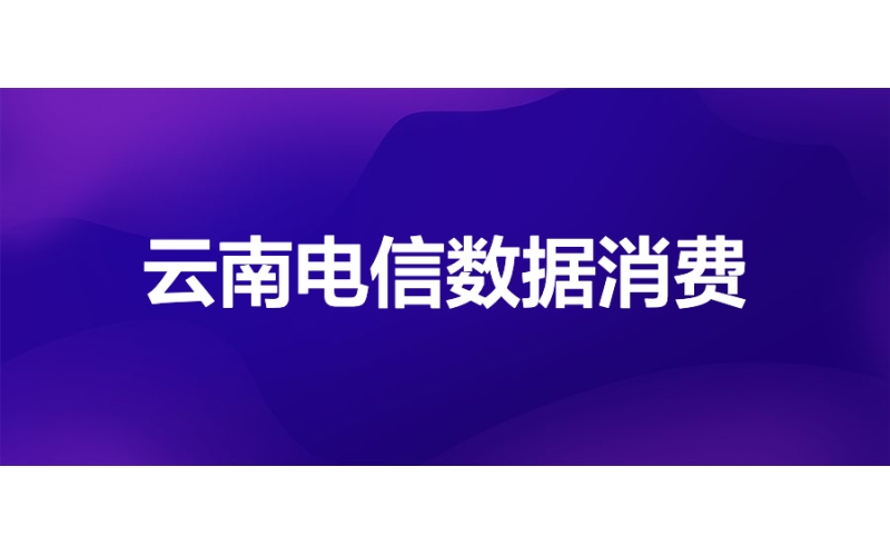 雲南電（diàn）信（xìn）：基於WhaleBI構建平民化數據（jù）消費門戶